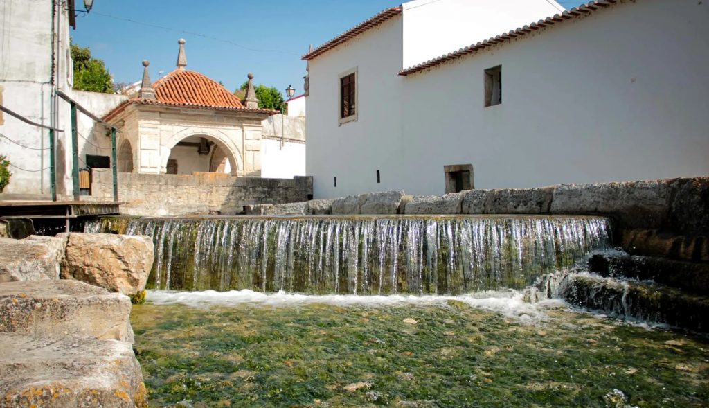 Dia Nacional da Água e início do Ciclo Hidrológico 💧